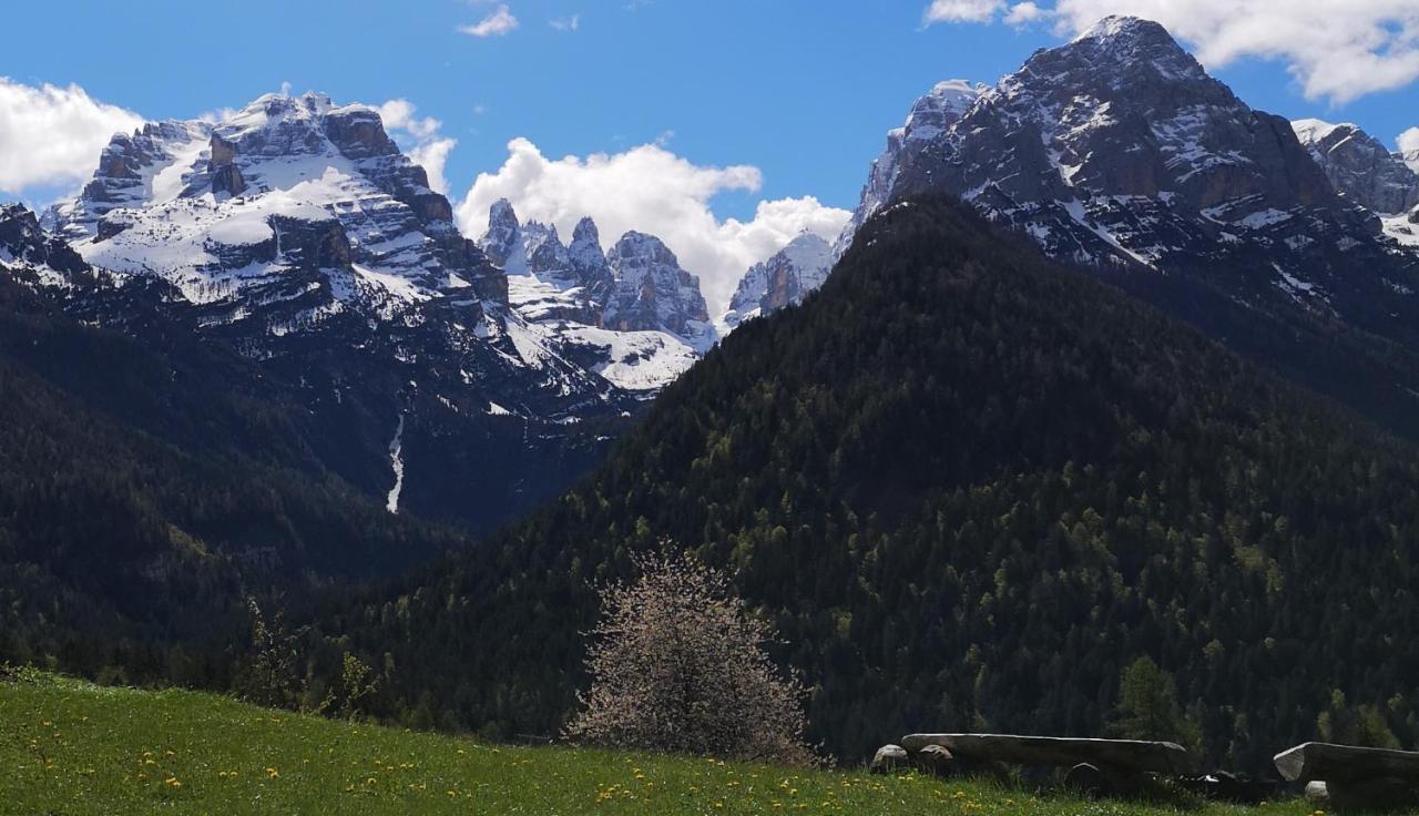Fogajard Lovely Chalet Madonna di Campiglio Bagian luar foto